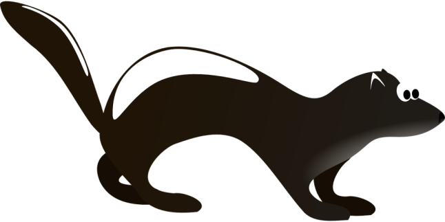 skunk black and white animal 34149